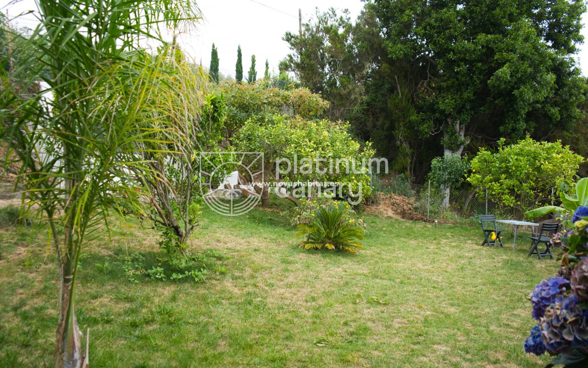 Revente - house - La Orotava - Santa Cruz Tenerife