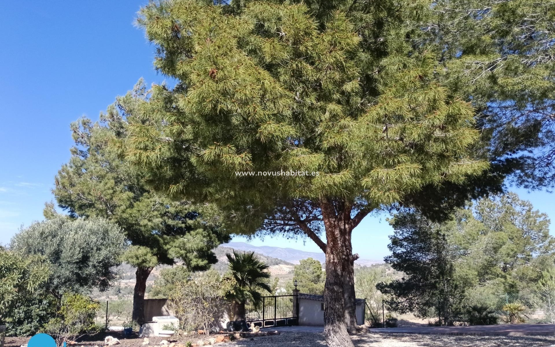 Revente - Villa - Abanilla
