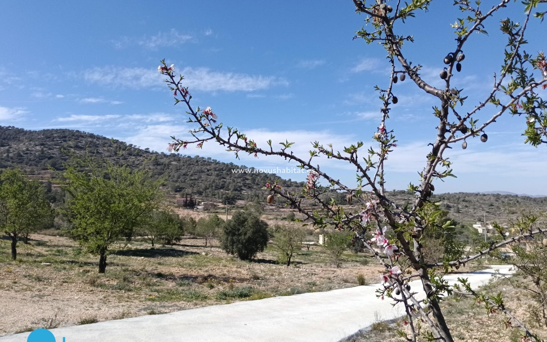Revente - Villa - Abanilla