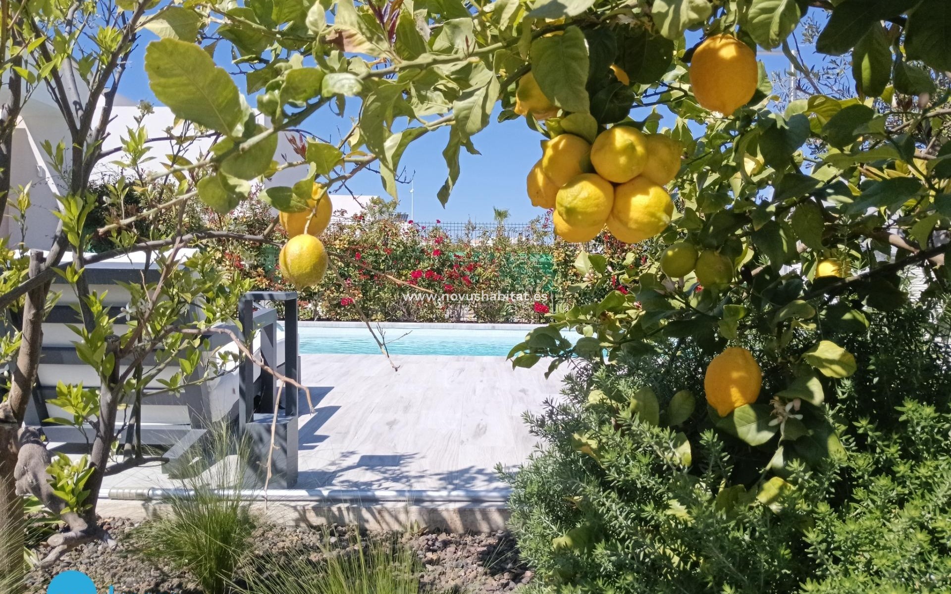 Revente - Villa de Lujo - Algorfa - Club de Golf La Finca