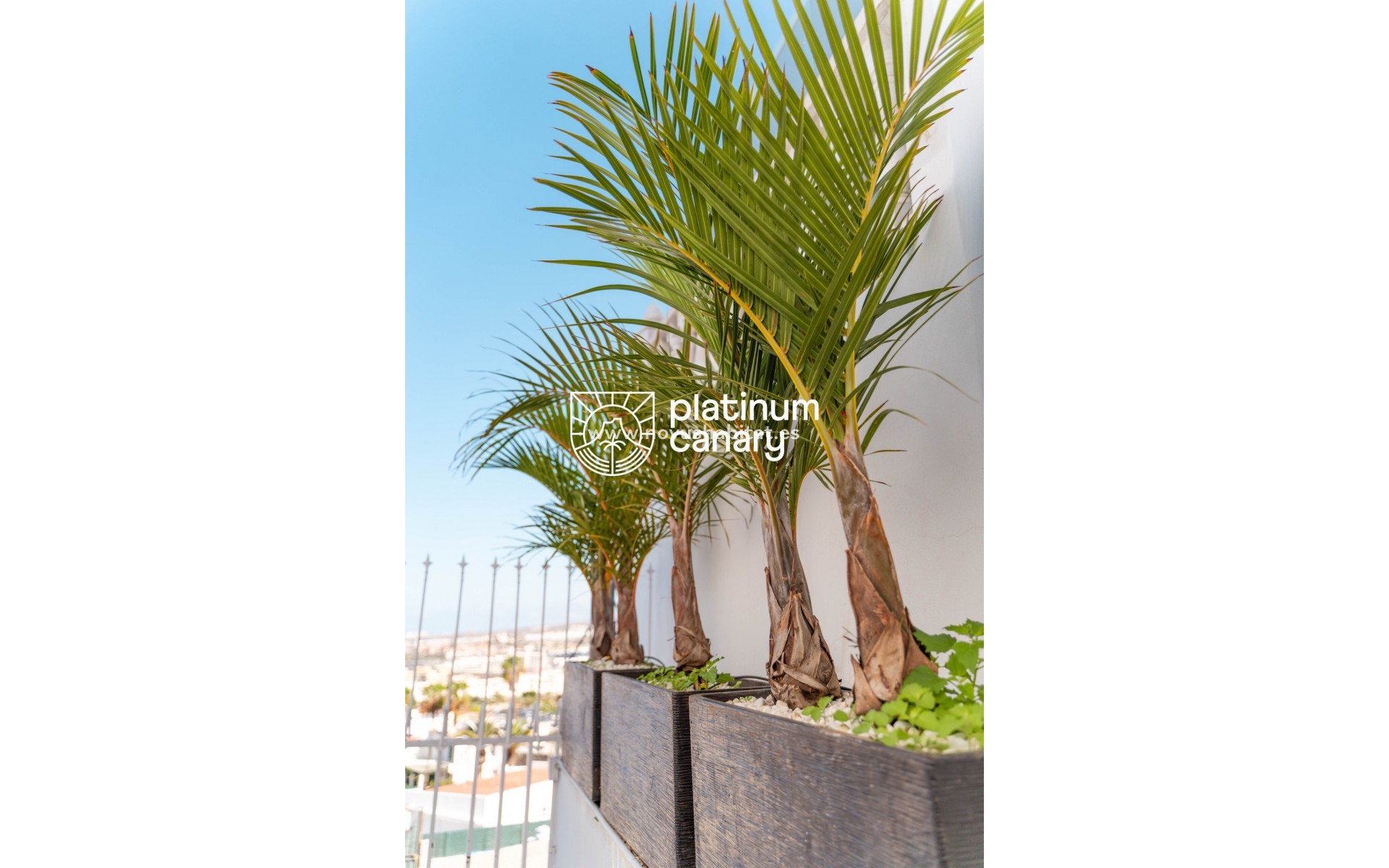 Revente - Villa - San Eugenio - Santa Cruz de Tenerife