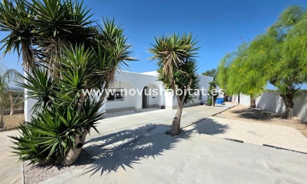Rustic estate - Neue Gebäude - Elche / Elx - Elche / Elx