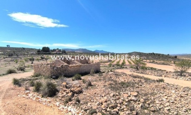 Rustic estate - Neue Gebäude - Pinoso - Pinoso
