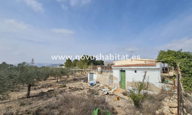 Rustic estate - Nieuwbouw - La Romana - La Romana