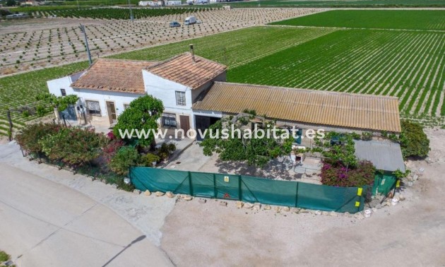 Rustic estate - Nieuwbouw - Orihuela - Orihuela