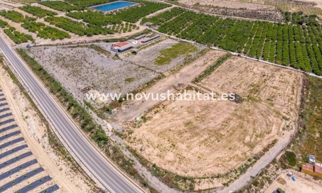 Rustic estate - Nueva construcción  - Los Montesinos - Los Montesinos