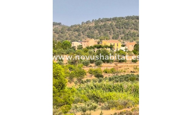 Rustic estate - Nýbygging - Pinoso - Pinoso