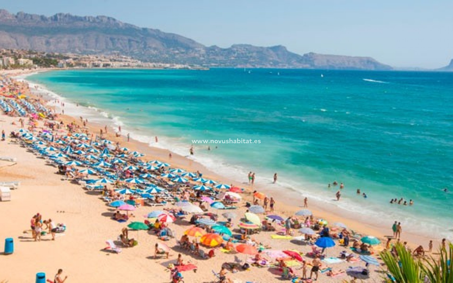 Segunda mano - Apartamento - Albir