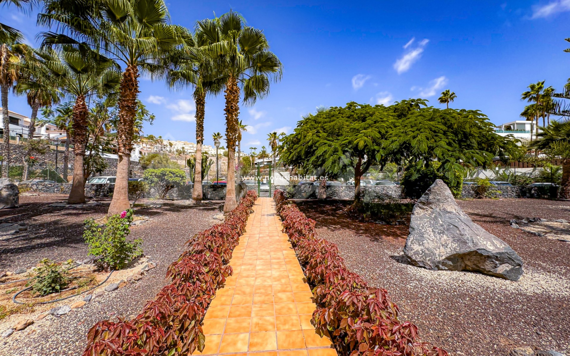 Segunda mano - Apartamento - Chayofa - La Finca Chayofa Tenerife