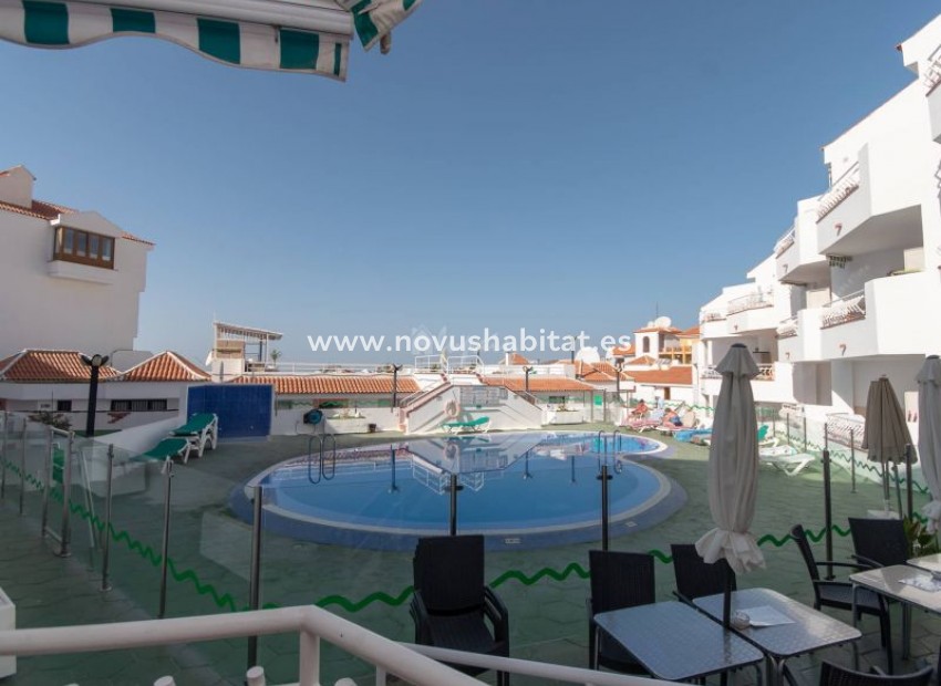 Segunda mano - Apartamento - Los Cristianos - Calle Los Angeles 4, 38650 Los Cristianos Arona Tenerife