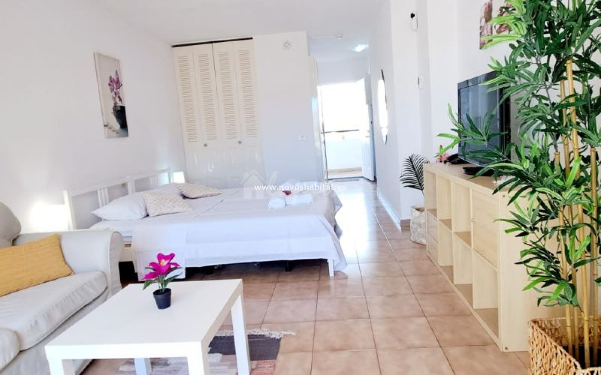 Segunda mano - Apartamento - Los Cristianos - Castle Harbour Los Cristianos