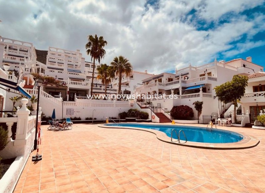 Segunda mano - Apartamento - Los Cristianos - Royal Palm Los Cristianos Tenerife