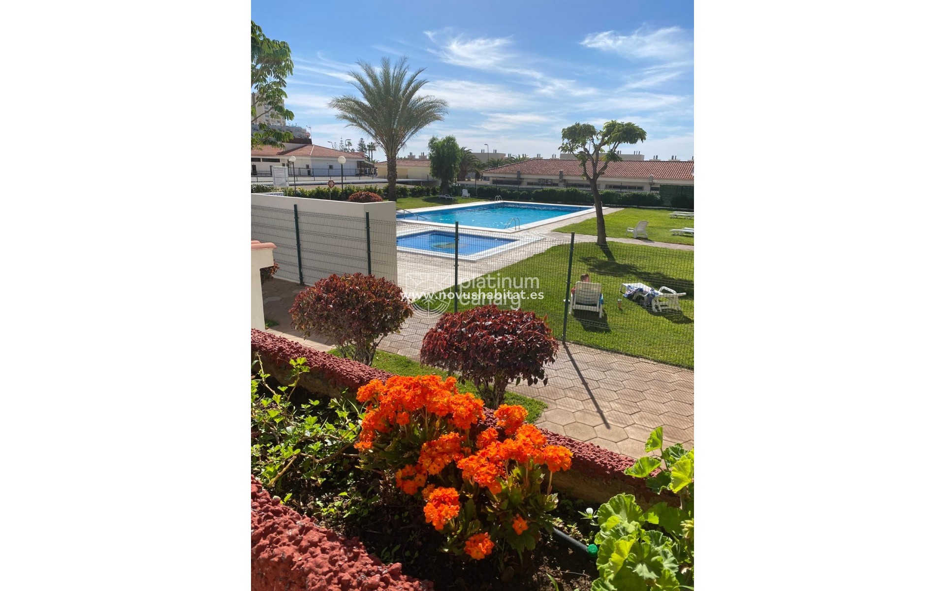 Segunda mano - Apartamento - Los Cristianos - Santa Cruz de Tenerife