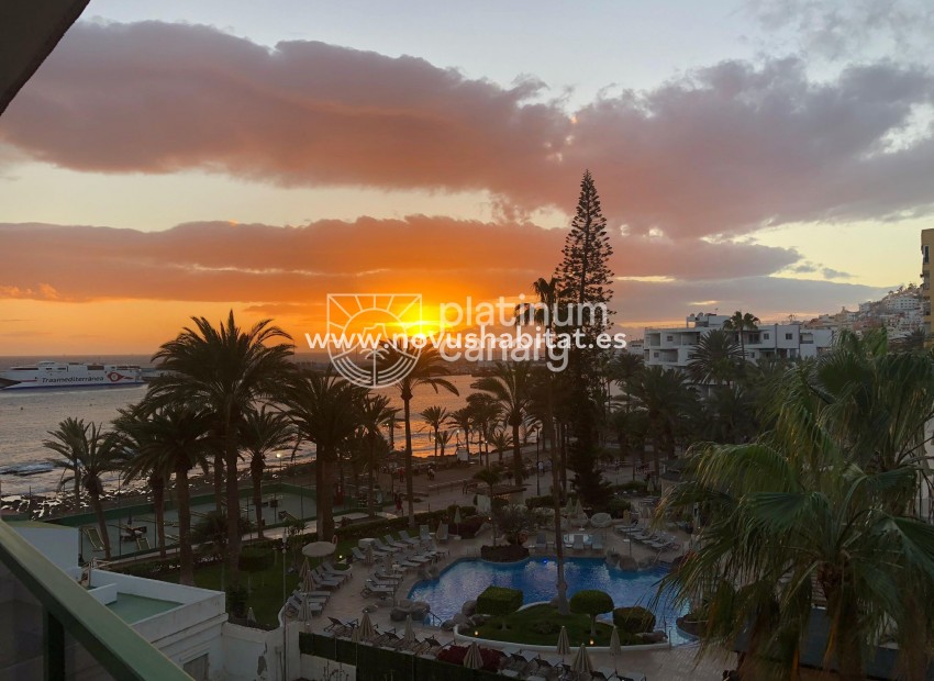 Segunda mano - Apartamento - Los Cristianos - Santa Cruz Tenerife