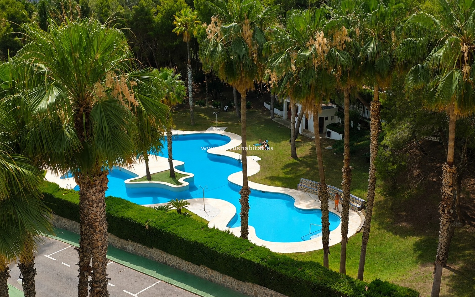 Segunda mano - Apartamento - Orihuela Costa - Campoamor