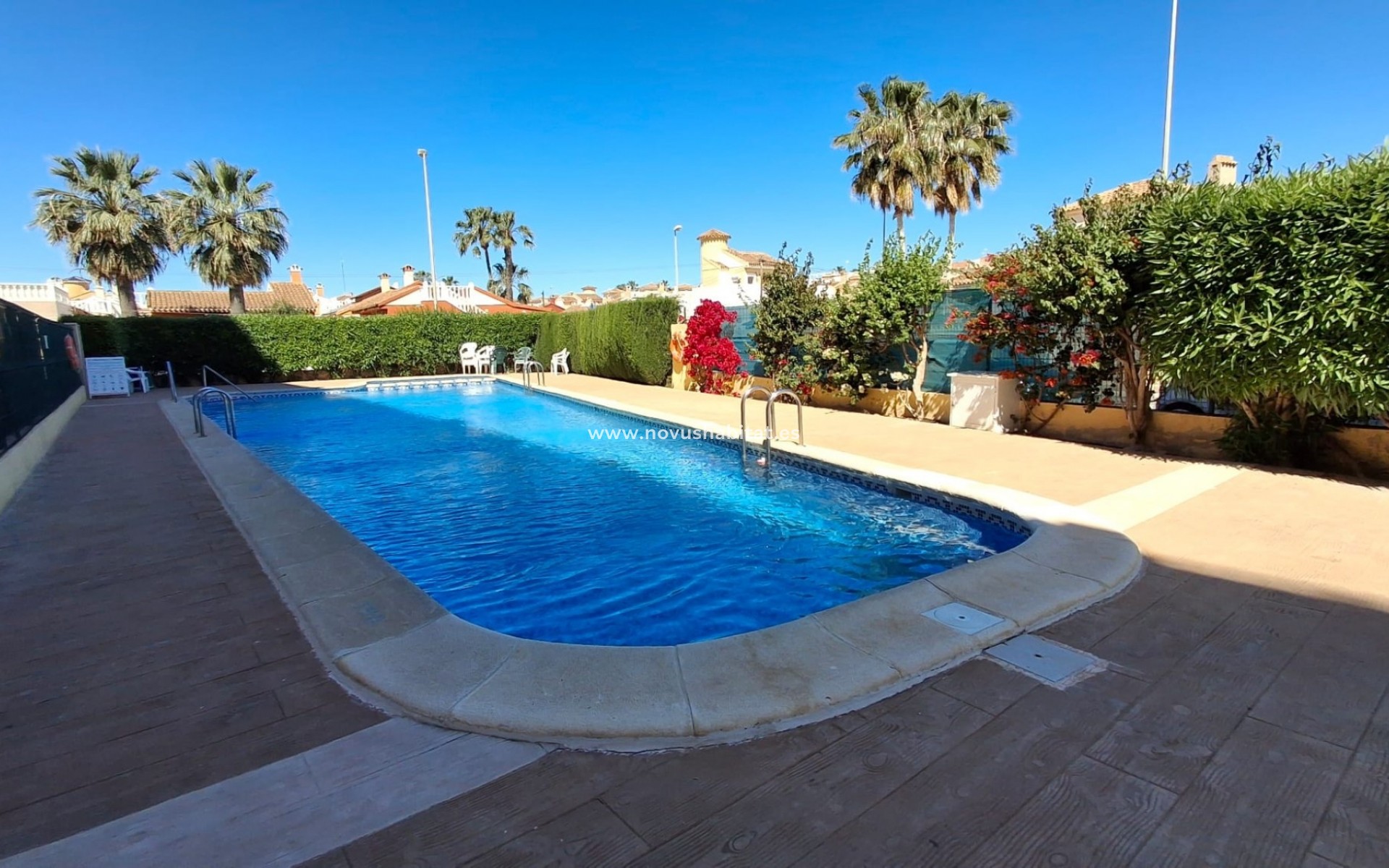Segunda mano - Apartamento - Orihuela Costa - Playa Flamenca