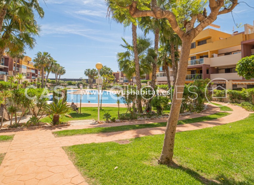 Segunda mano - Apartamento - Orihuela Costa - Playa Flamenca