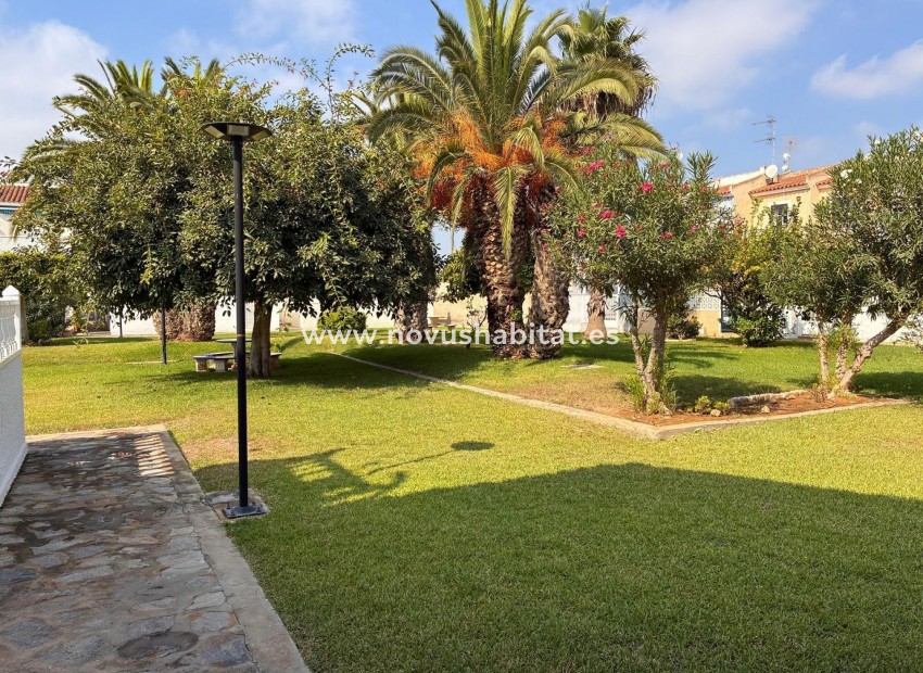Segunda mano - Apartamento - Orihuela Costa