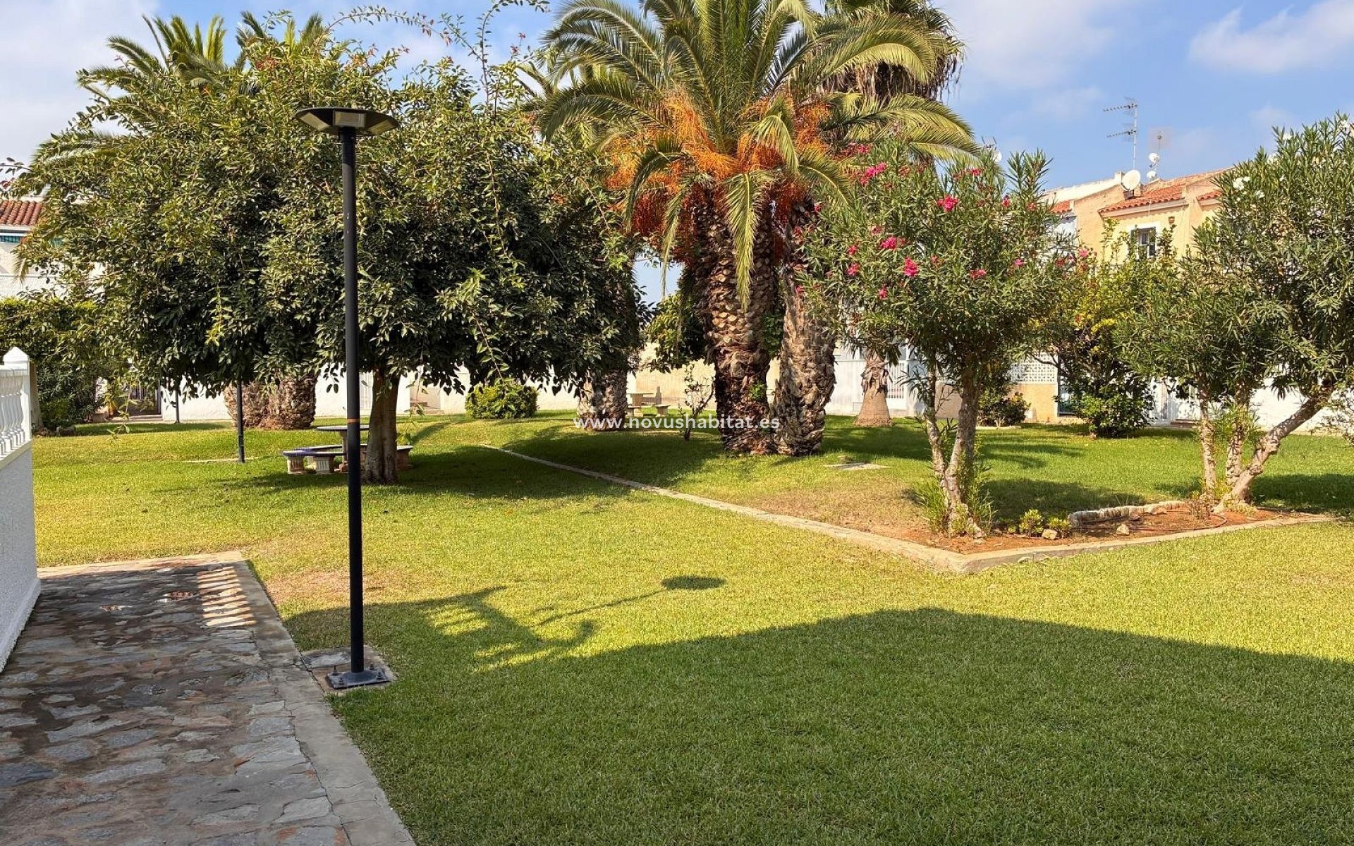 Segunda mano - Apartamento - Orihuela Costa