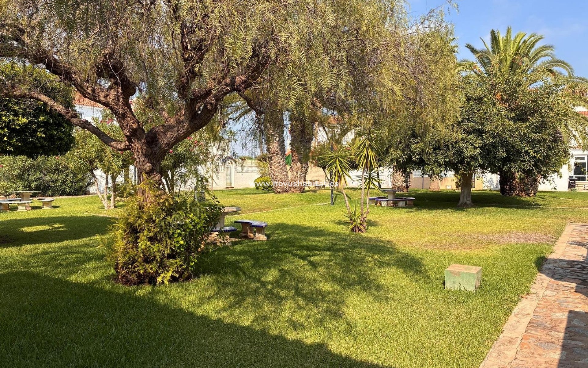 Segunda mano - Apartamento - Orihuela Costa