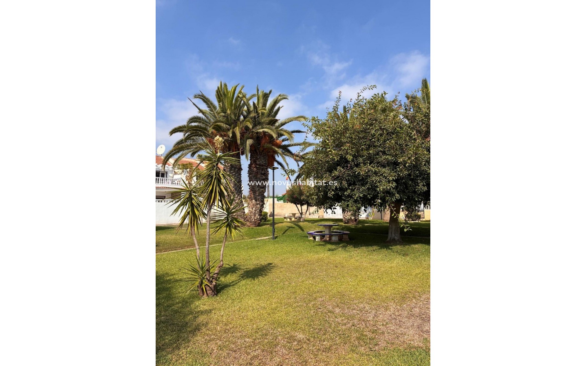 Segunda mano - Apartamento - Orihuela Costa