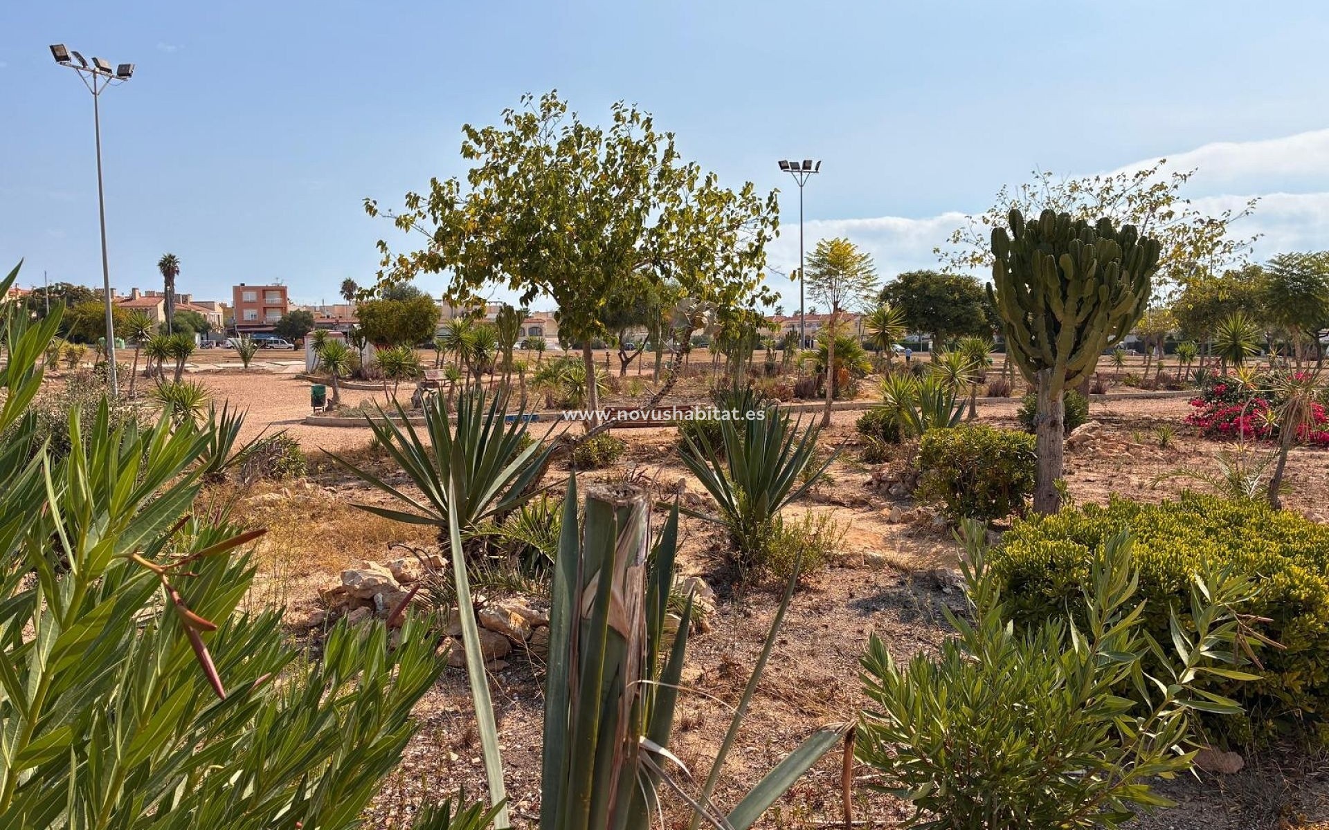 Segunda mano - Apartamento - Orihuela Costa