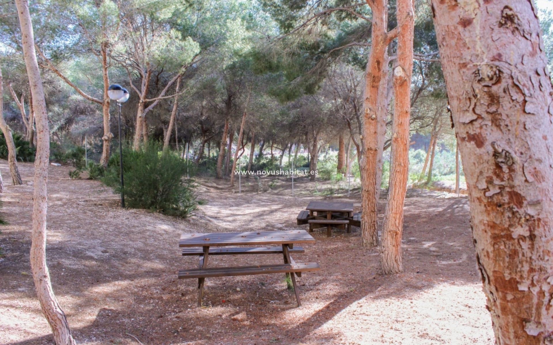 Segunda mano - Apartamento - Orihuela