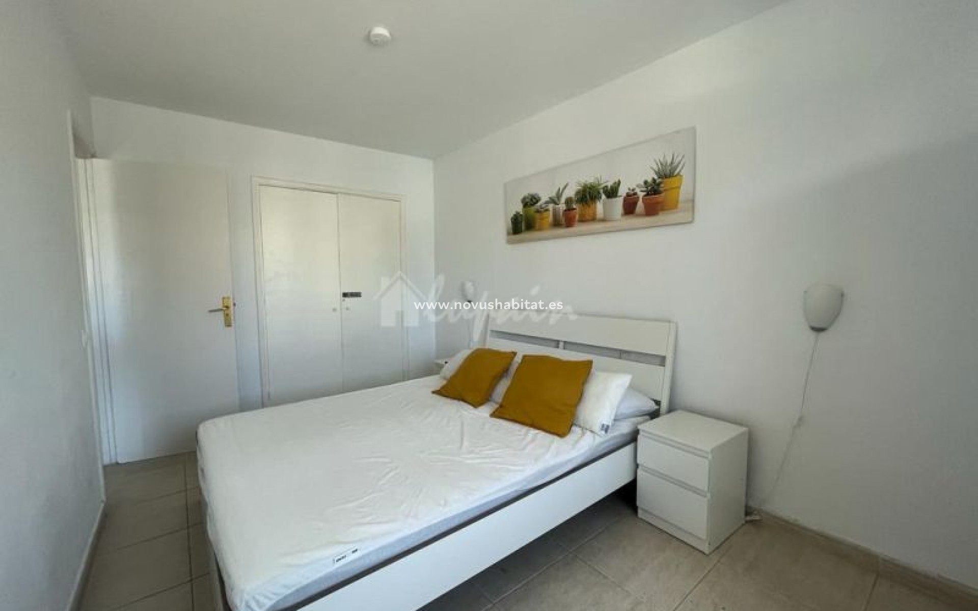 Segunda mano - Apartamento - Playa De Las Americas - Avda Santiado Puig, 38650 Playa De Las Americas Adeje Tenerife