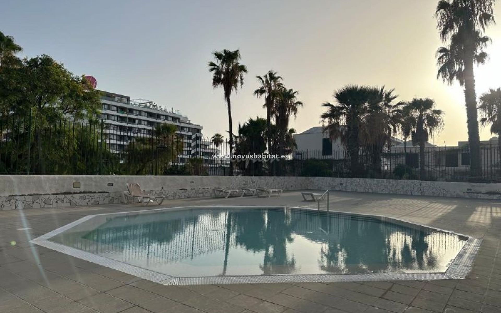 Segunda mano - Apartamento - Playa De Las Americas - Playa Honda Playa de Las Americas Tenerife