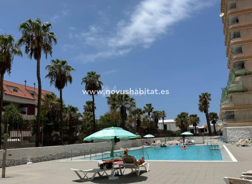 Segunda mano - Apartamento - Playa De Las Americas - Playa Honda Playa de Las Americas Tenerife