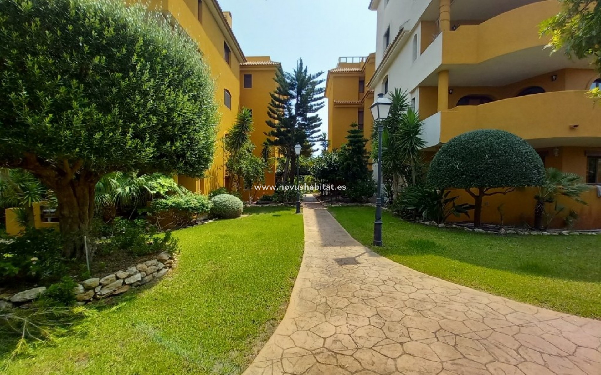 Segunda mano - Apartamento - Punta Prima