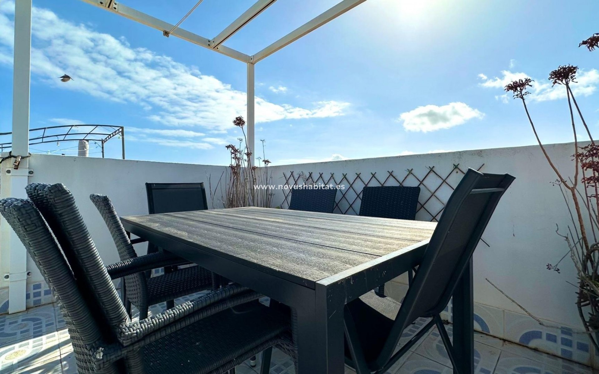 Segunda mano - Apartamento - Torrevieja - La Siesta - El Salado -  Torreta