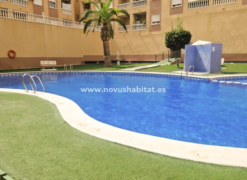 Segunda mano - Apartamento - Torrevieja - Parque de las Naciones