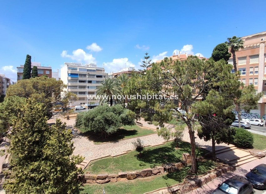 Segunda mano - Apartamento - Torrevieja - Playa de El Cura