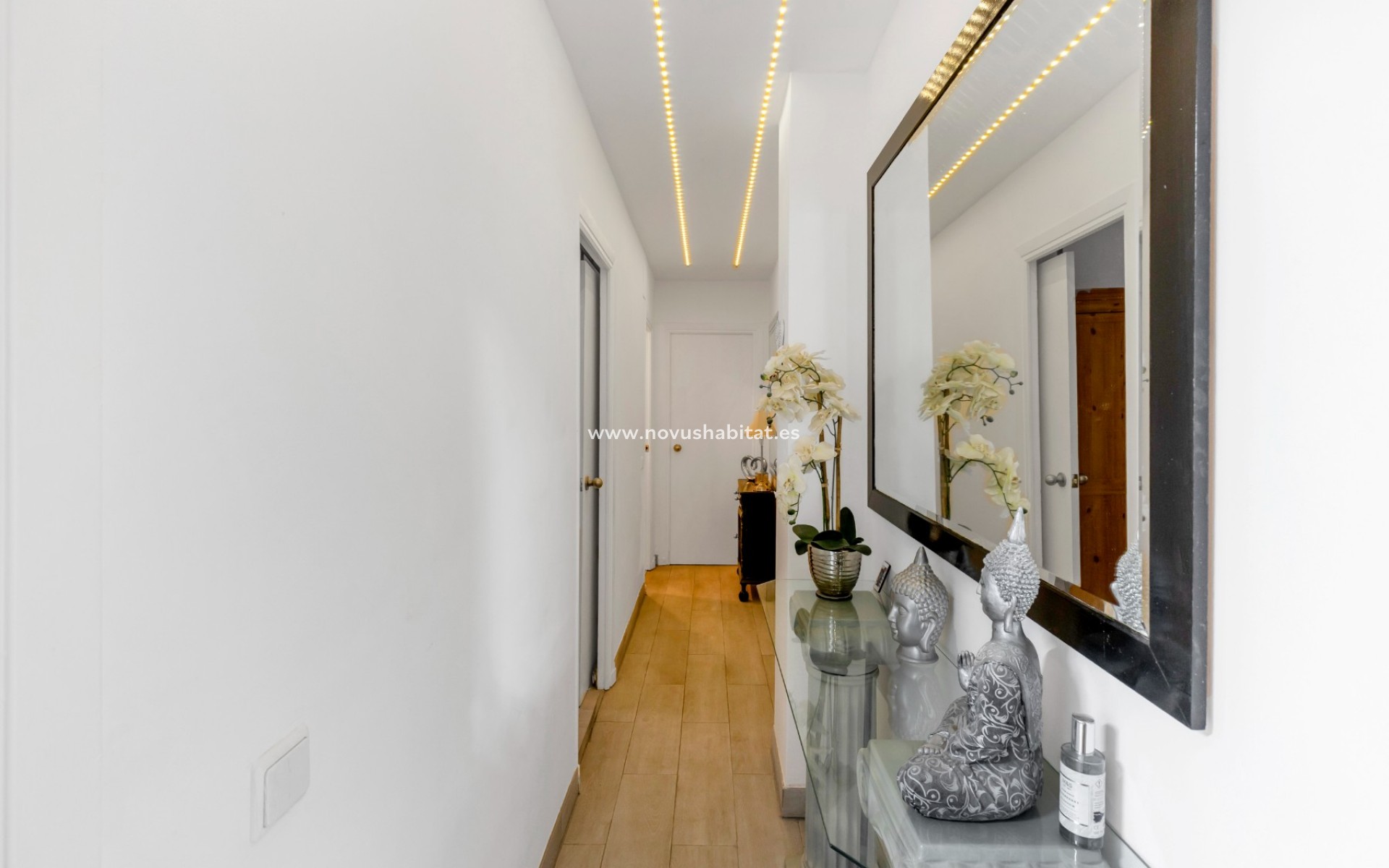 Segunda mano - Apartamento - Torrevieja - Playa del cura