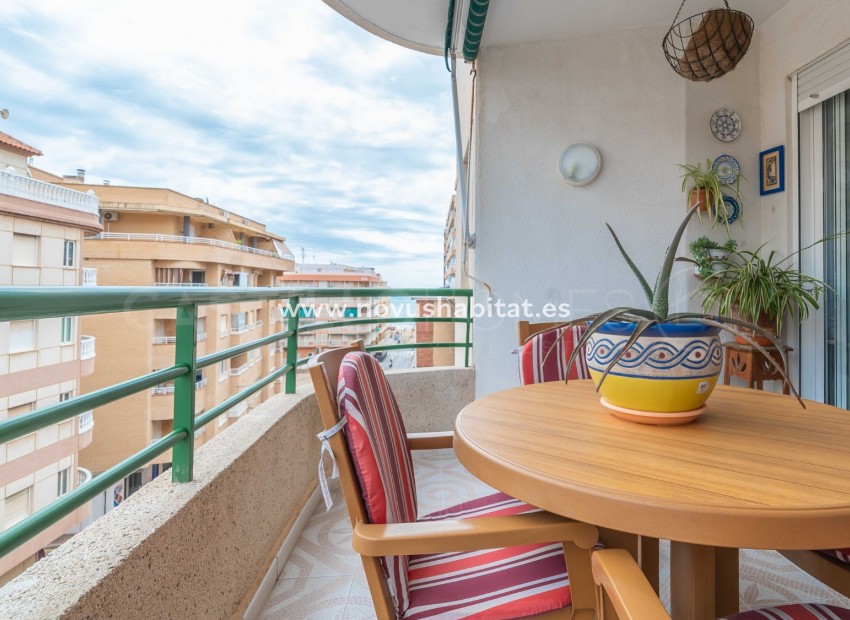 Segunda mano - Apartamento - Torrevieja - Torrelamata - La Mata