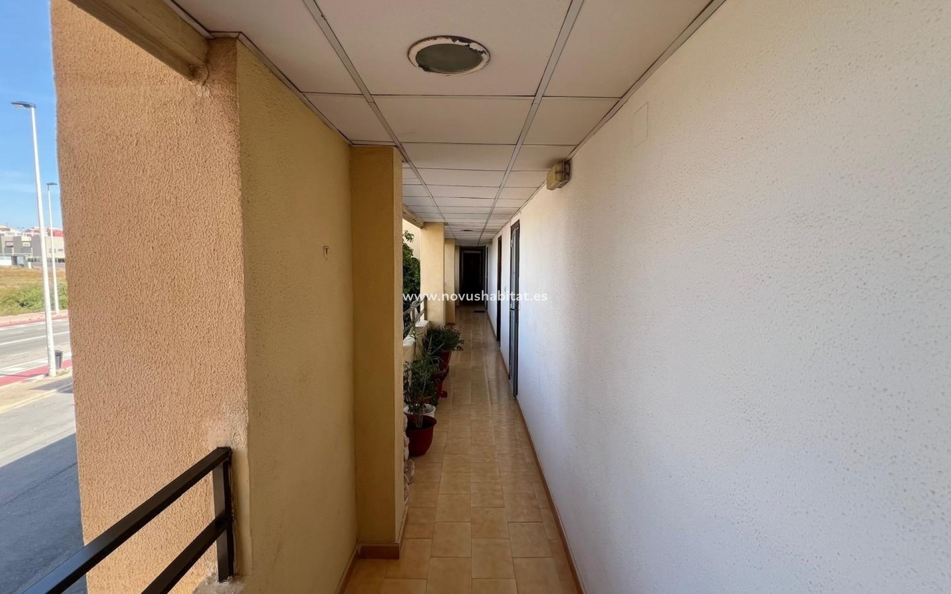 Segunda mano - Apartamento - Torrevieja - Urb. Rosaleda
