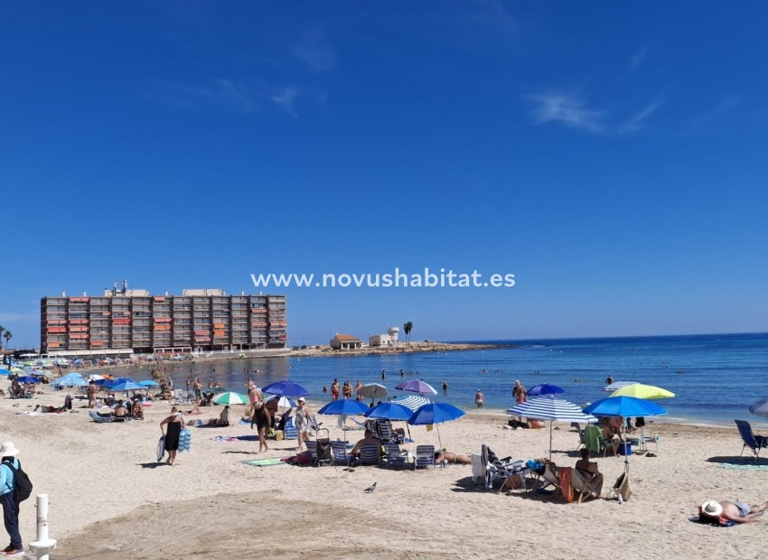 Segunda mano - Apartment / Duplex - Torrevieja - Playa de los Locos