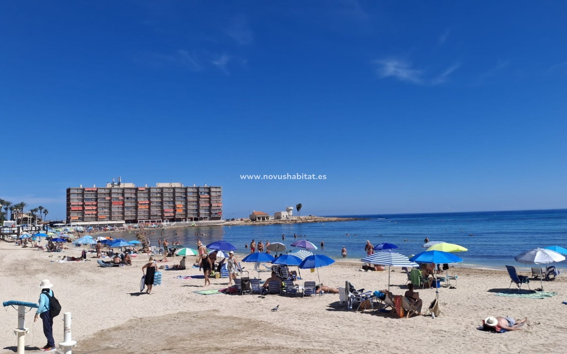 Segunda mano - Apartment / Duplex - Torrevieja - Playa de los Locos