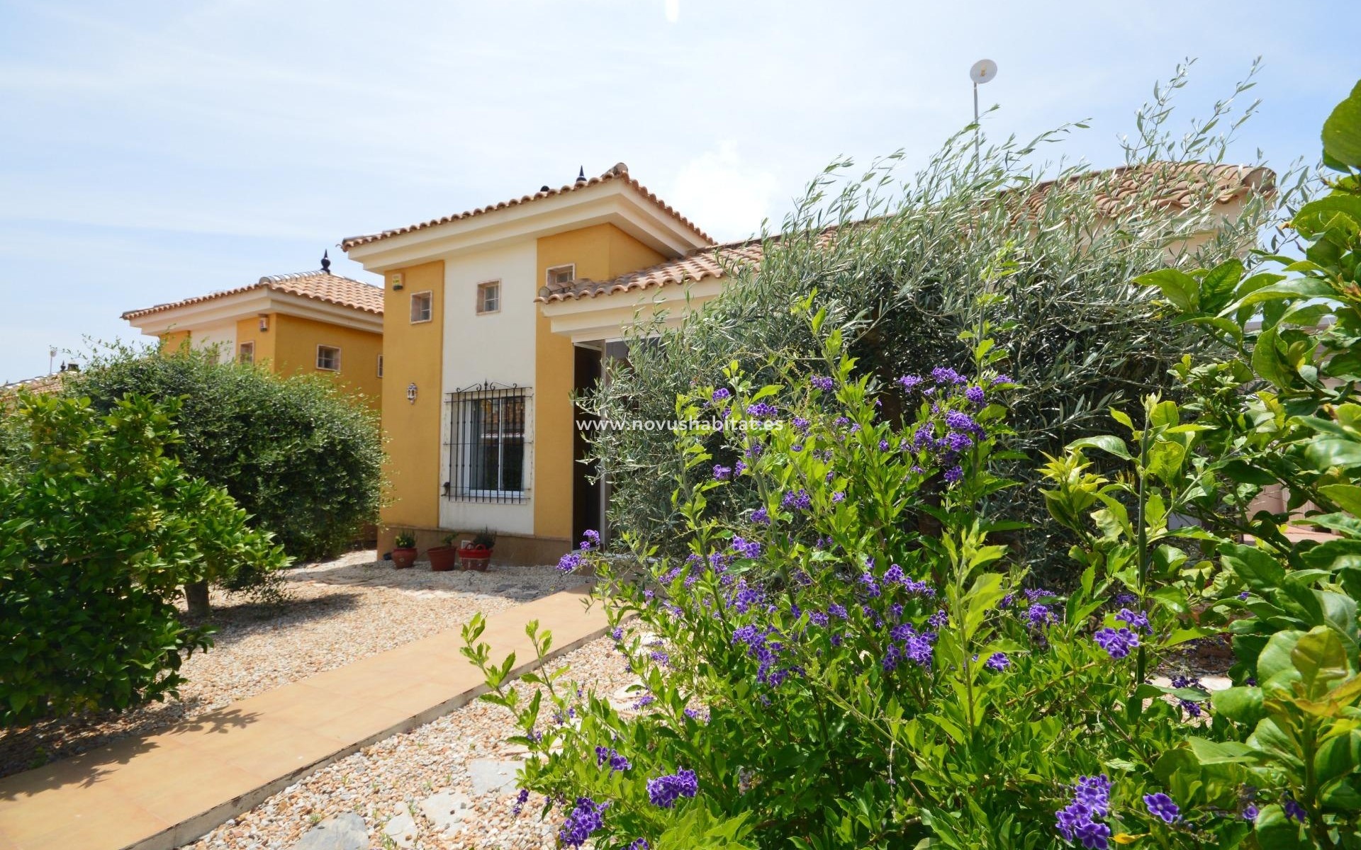 Segunda mano - Chalet - Los Montesinos - Costa blanca sur