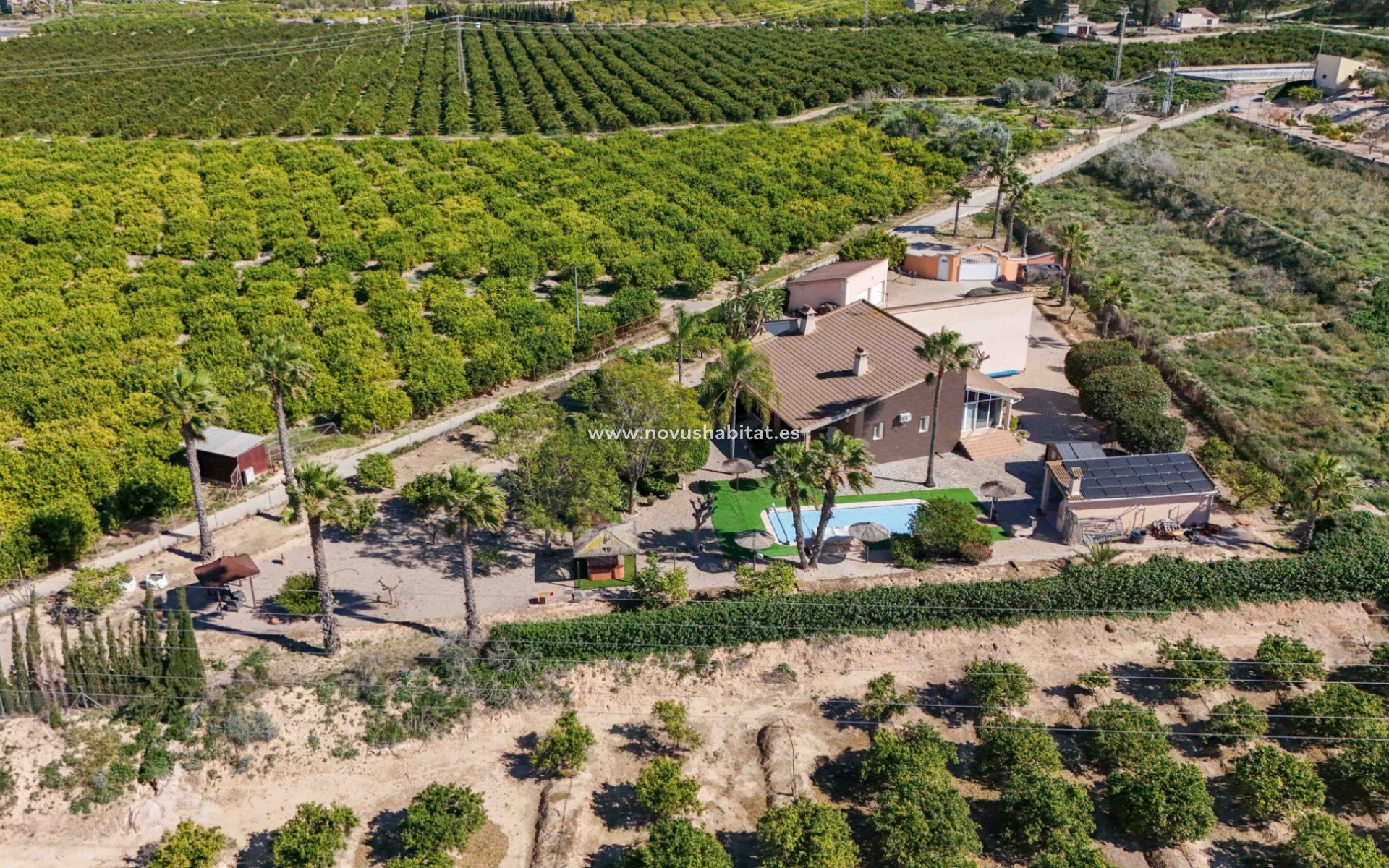 Segunda mano - Chalets Independientes - Alicante - Jacarilla