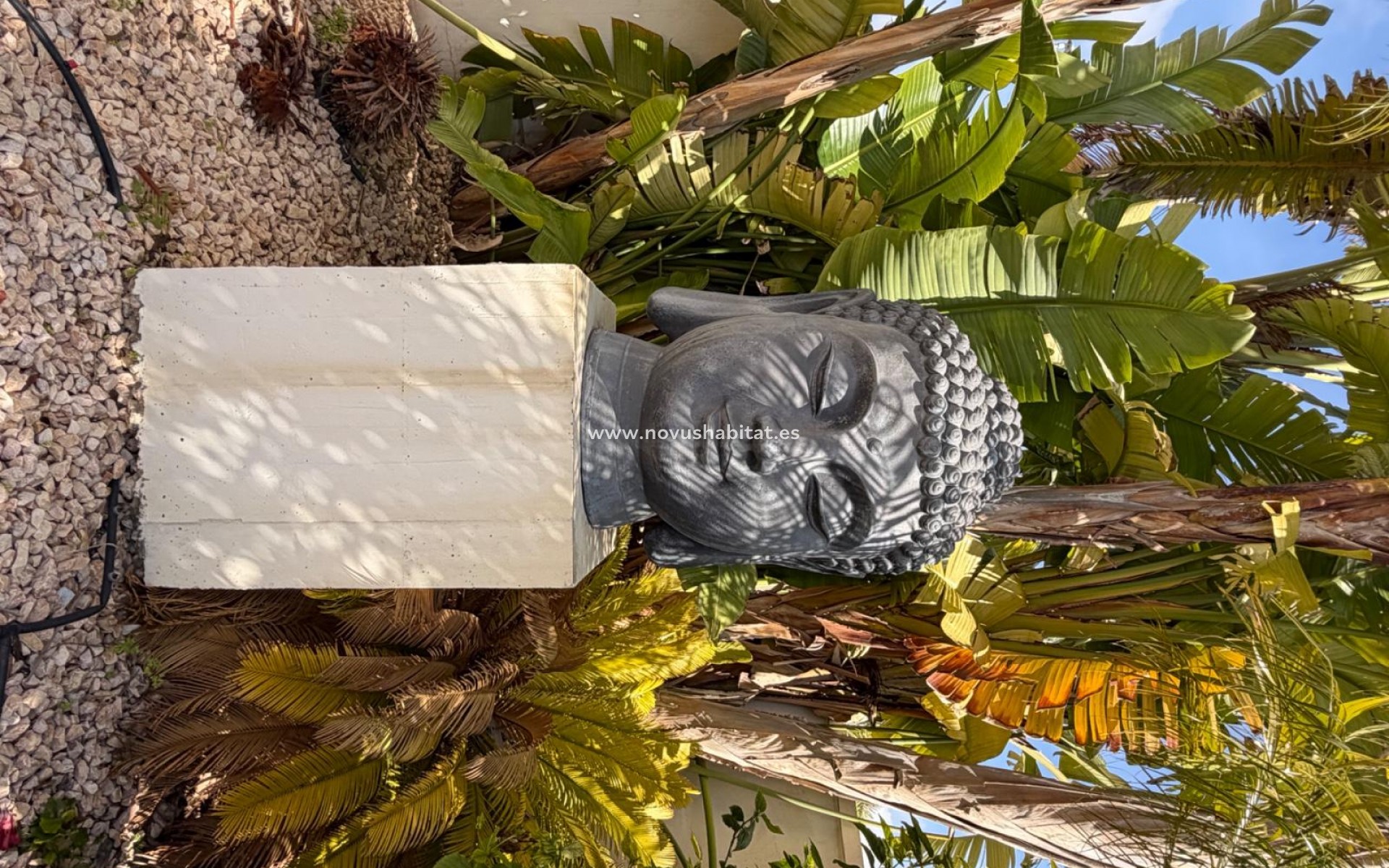 Segunda mano - Detached Villa - Ciudad Quesada - Doña Pena