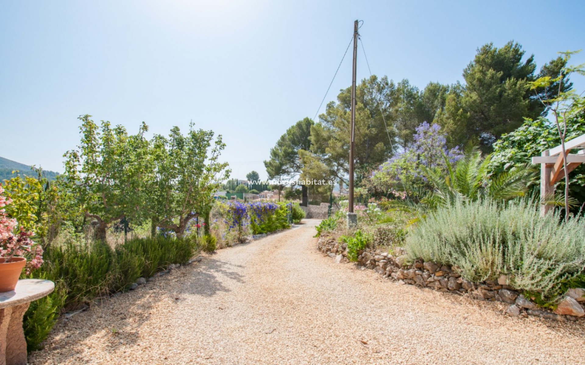 Segunda mano - Parcela - Alcalalí