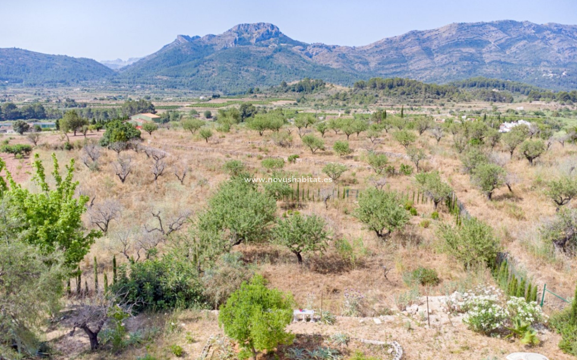 Segunda mano - Parcela - Alcalalí