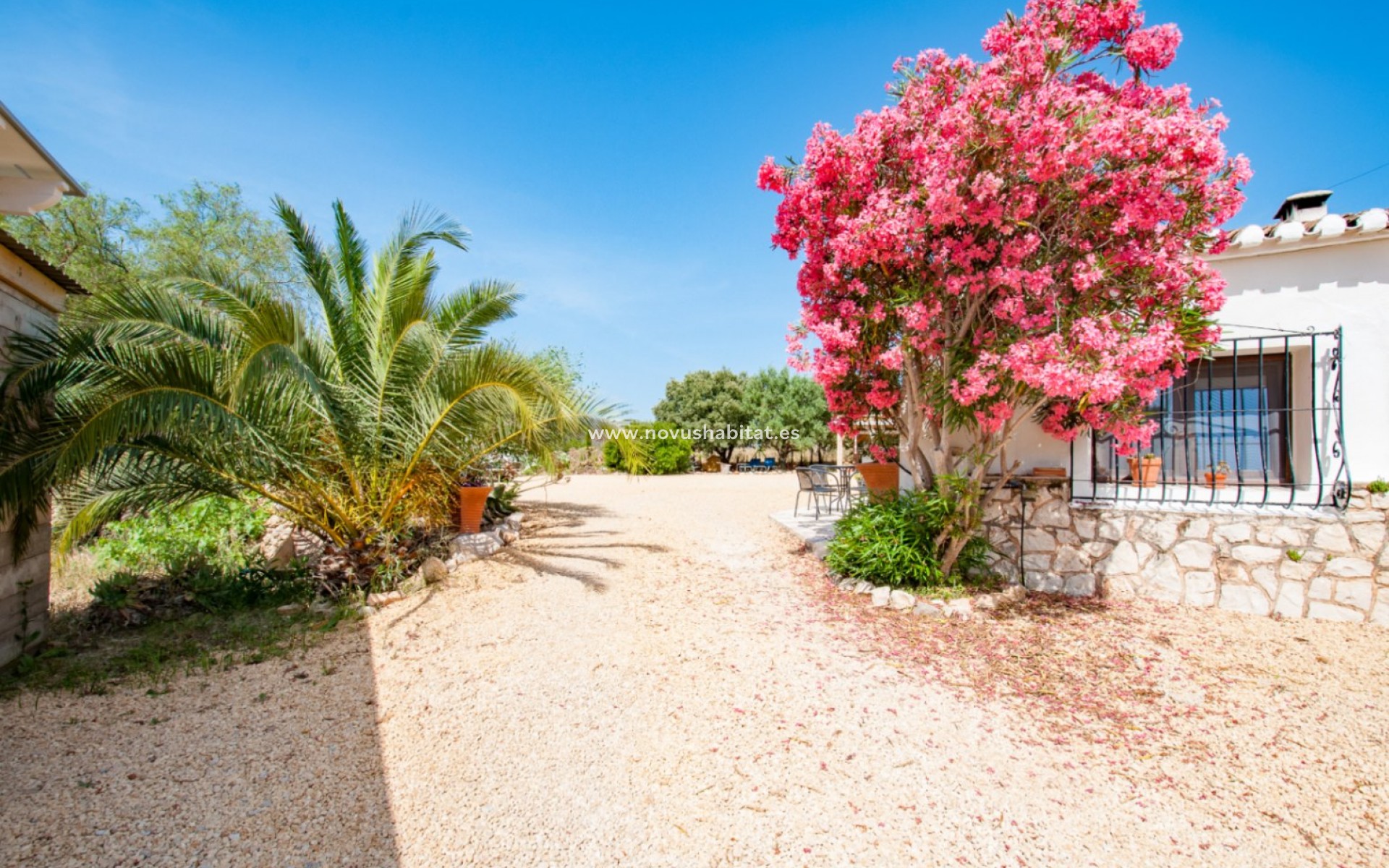 Segunda mano - Parcela - Alcalalí