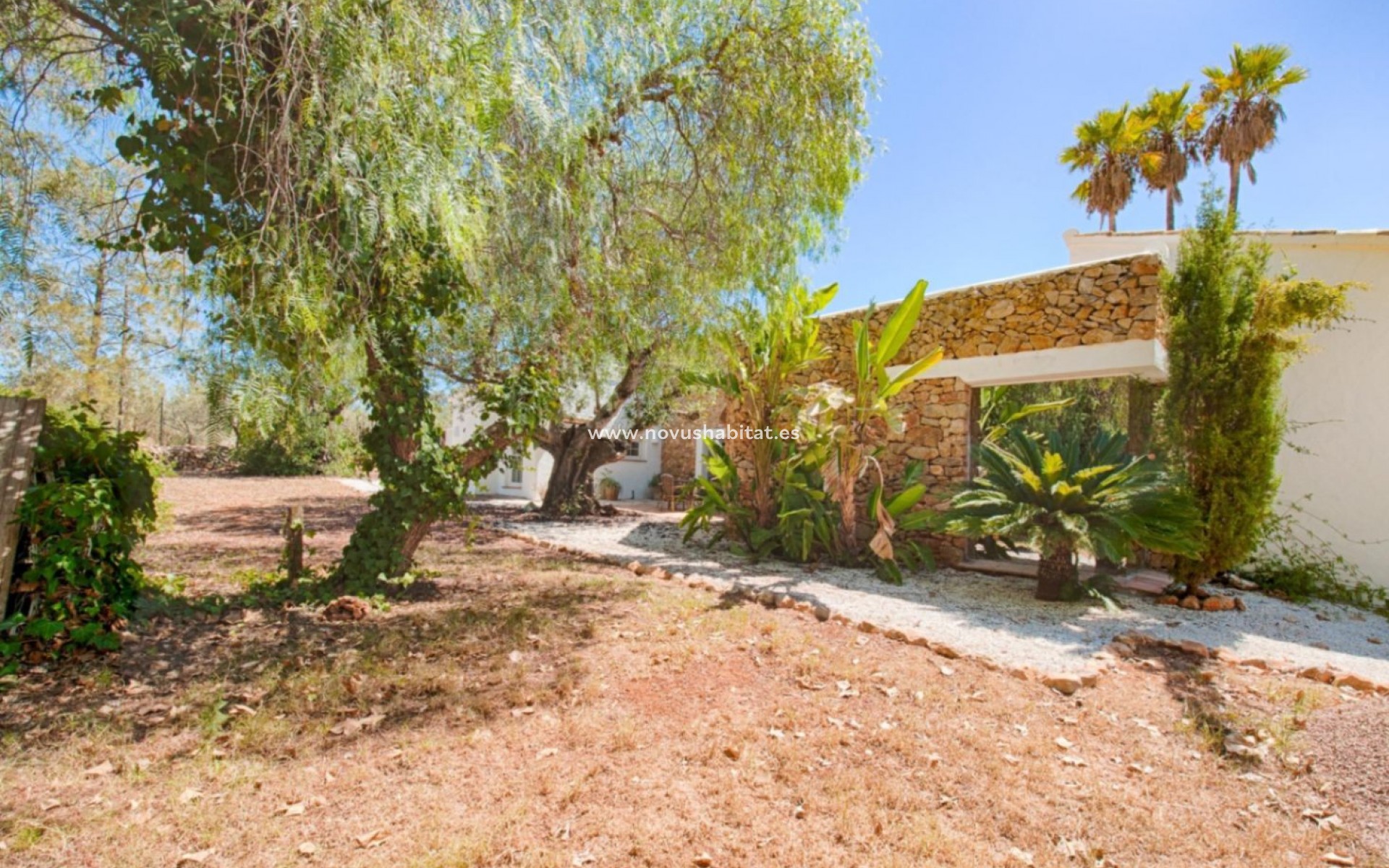 Segunda mano - Parcela - Senija - Campo