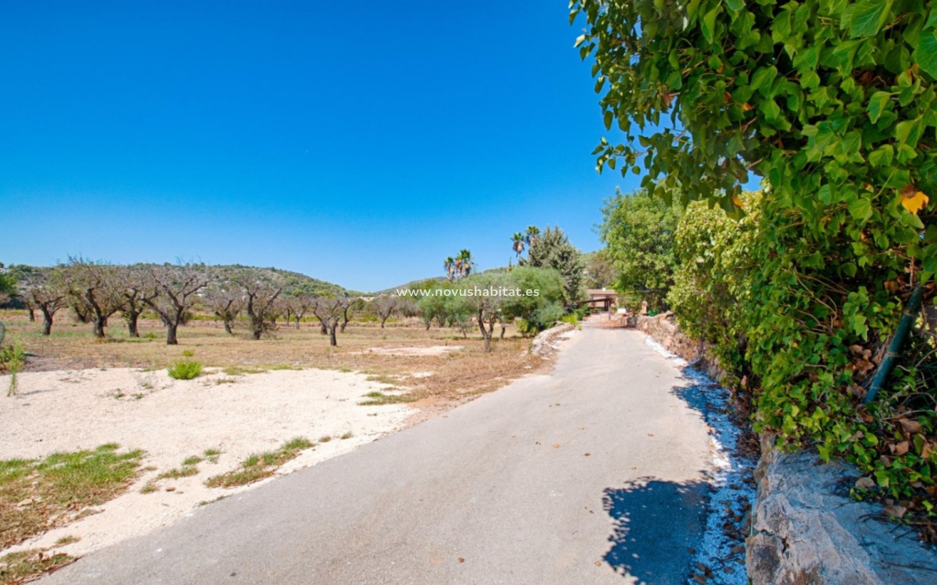 Segunda mano - Parcela - Senija - Campo
