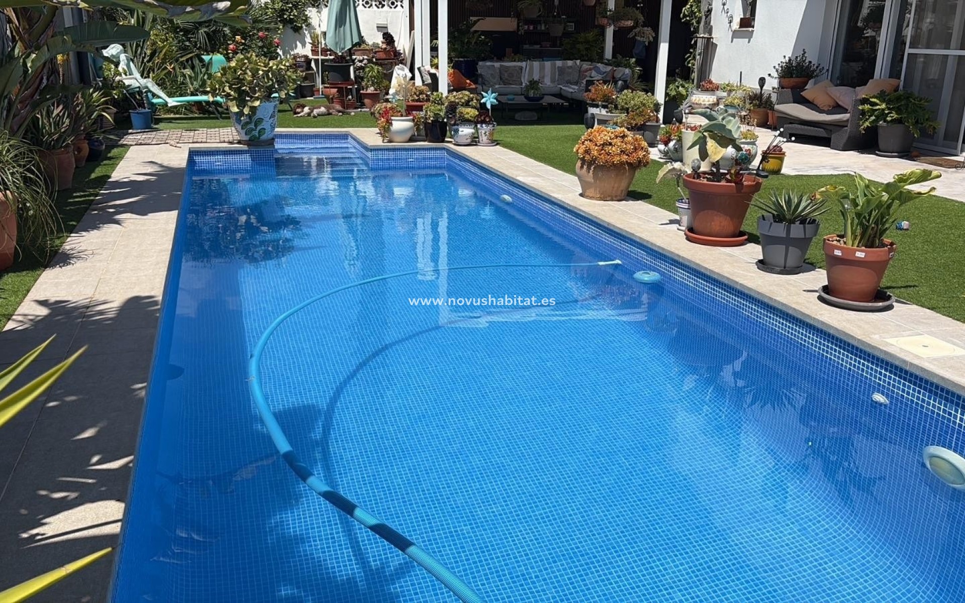 Segunda mano - Villa - Torrevieja - La Siesta - El Salado -  Torreta