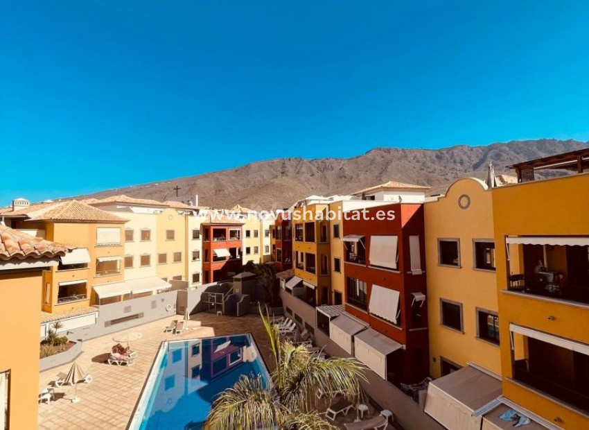 Sprzedaż - Apartament - Adeje - El Torreon El Galeon Adeje Tenerife