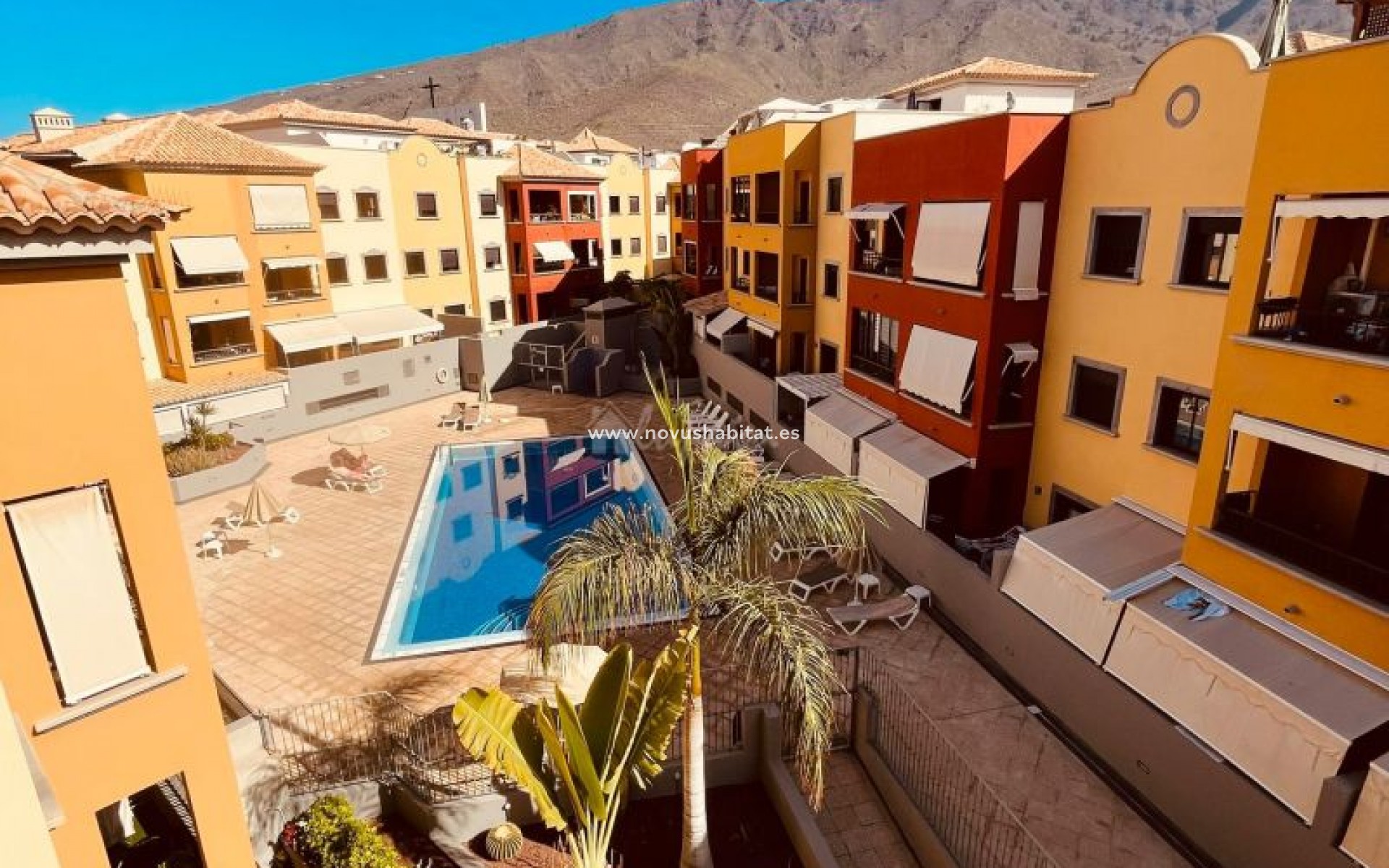 Sprzedaż - Apartament - Adeje - El Torreon El Galeon Adeje Tenerife